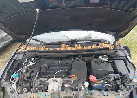 2017 Acura Ilx Acurawatch Plus Package from USA, damaged, VIN 19UDE2F37HA001816